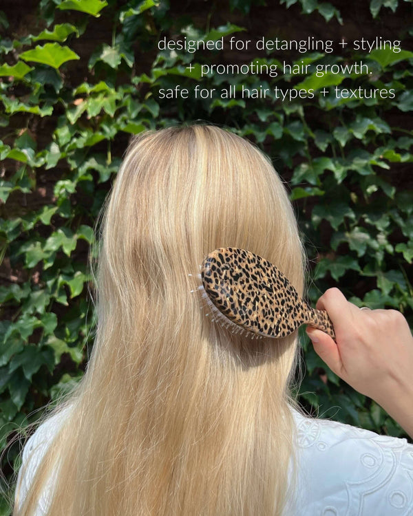 Perfect Daily Hair Brush